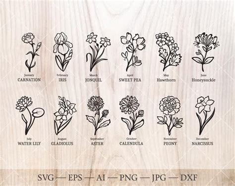 December Birth Flower Svg Birth Month Flower Svg Jonquil Etsy Birth Flower Tattoos December