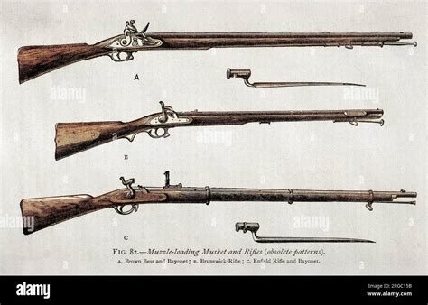 Difference Between Musket And Rifle Compare The Difference Between