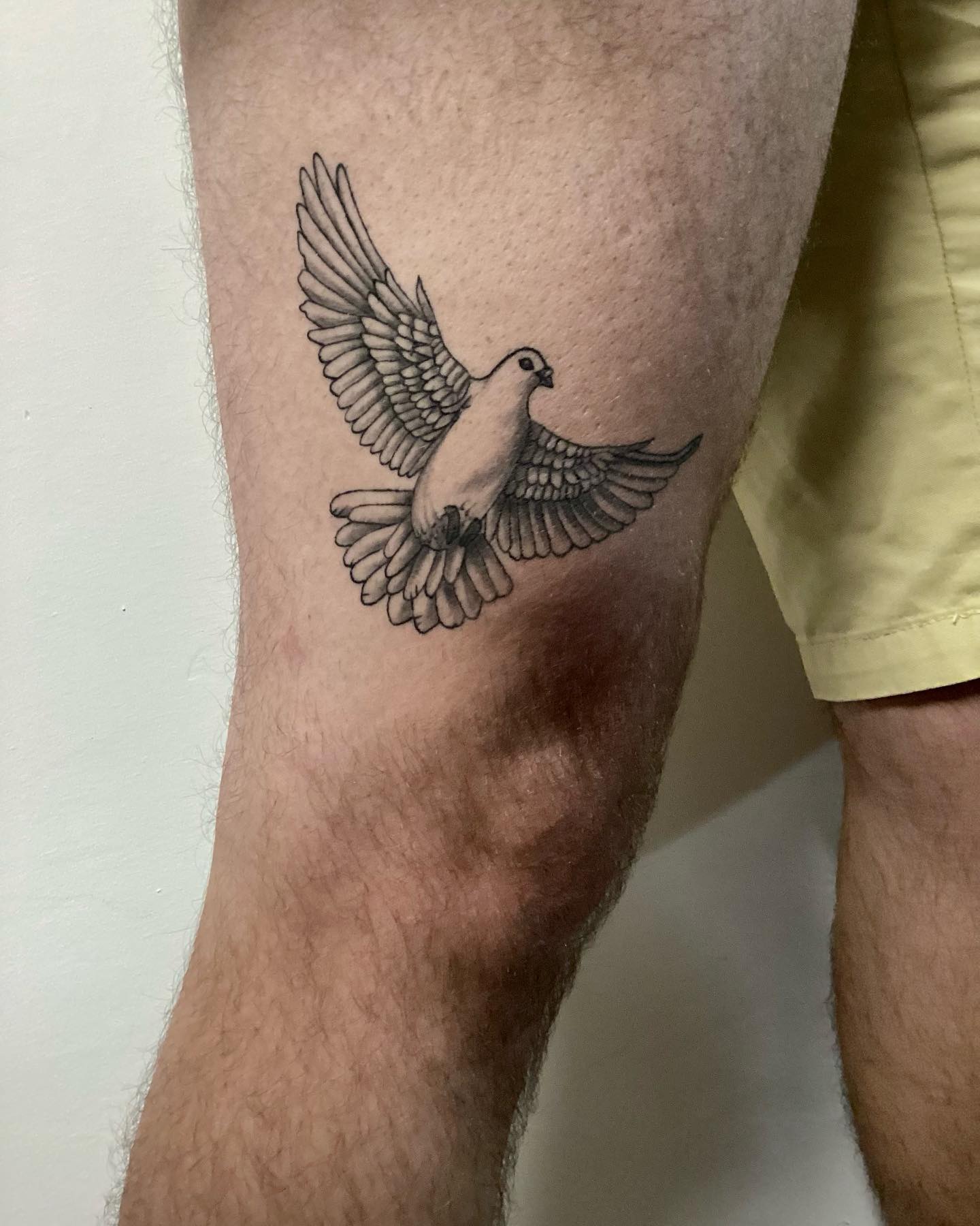 Discover More Than 81 Dove Tattoos For Men In Cdgdbentre