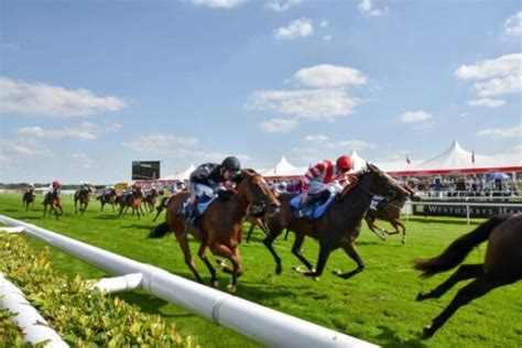 Doncaster Racecards Horse Racing Tips Bettingtips4you