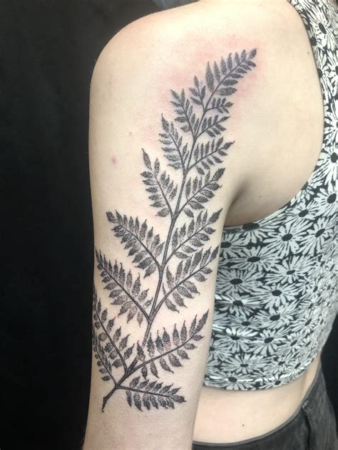 Fern Tattoo Done By Chris At Pierced Hearts In Seattle Tattoo Fern Tattoo Tattoos Herb Tattoo