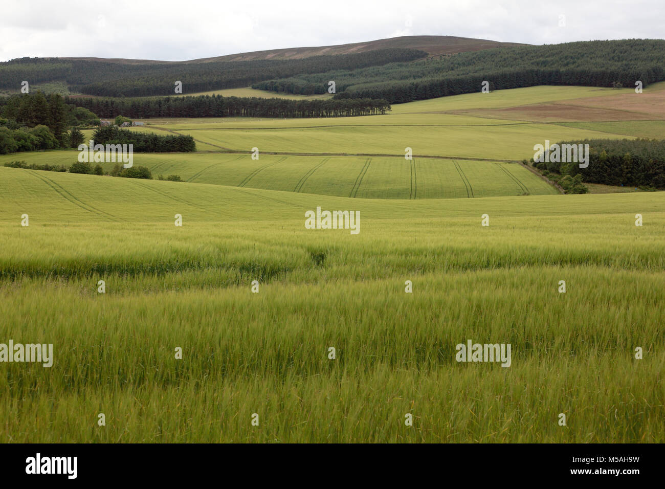 Fertile Land Hi Res Stock Photography And Images Alamy