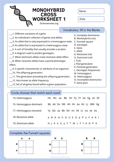 Fill In Genetics Notes