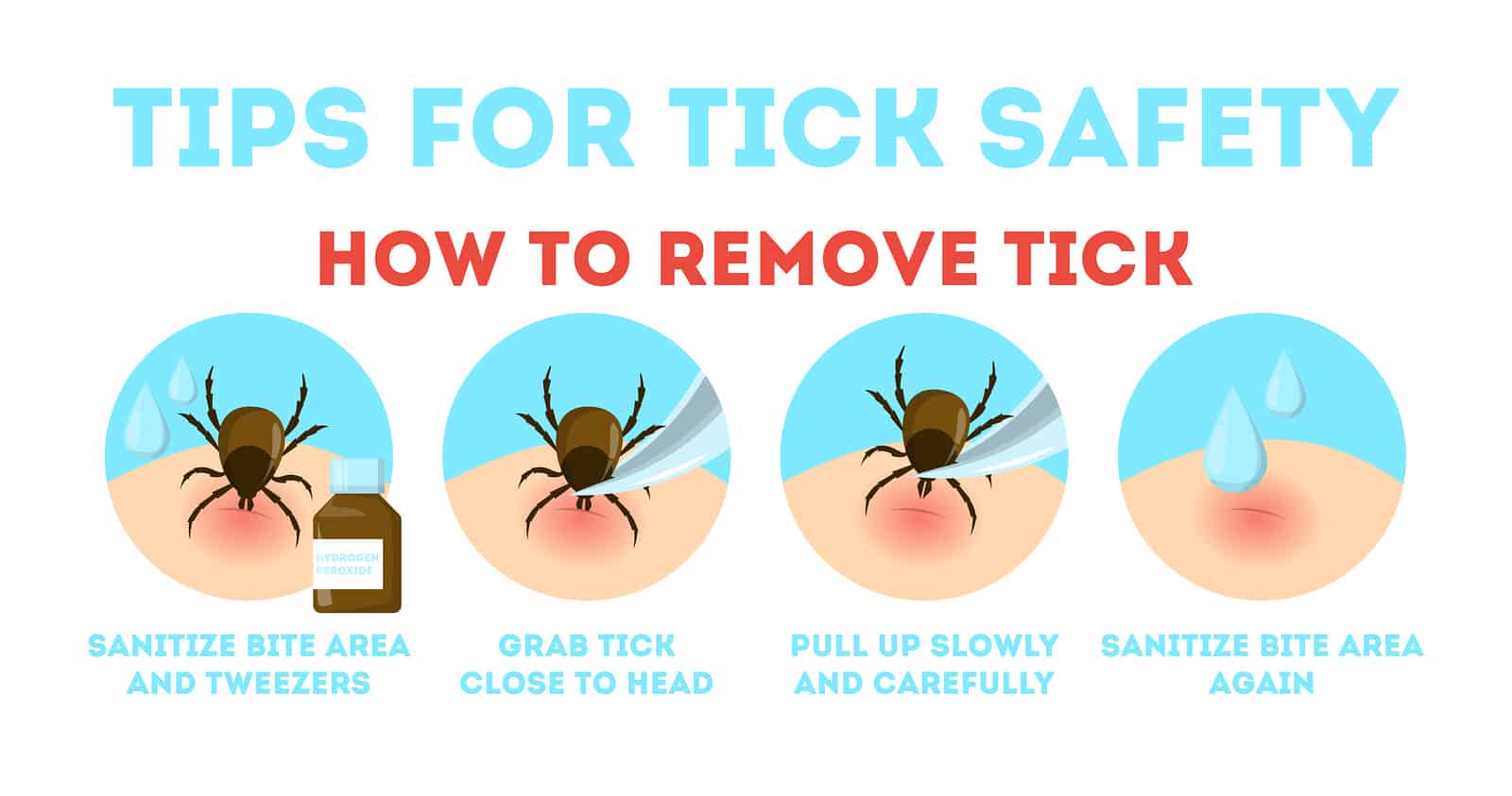 Fillable Online Tick Removal And Testinglyme Diseasecdctick