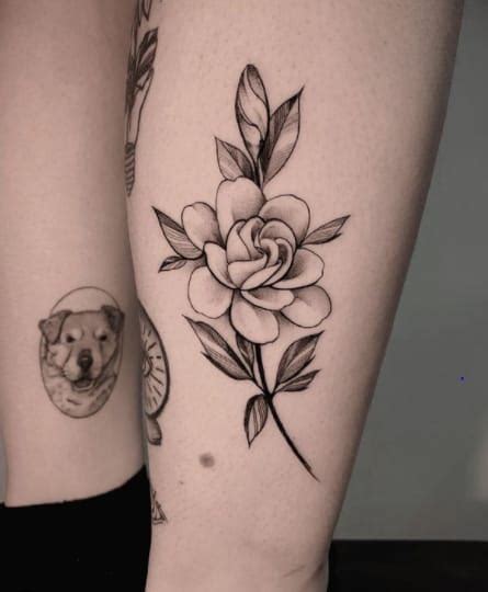 Gardenia Flower Tattoo Designs Tomoko Leibenstein