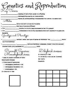 Genetics And Reproduction Fill In The Blank Notes By Cassandra S Ag