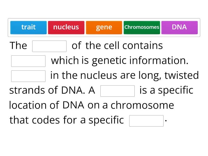 Genetics Fill In The Blanks Complete The Sentence