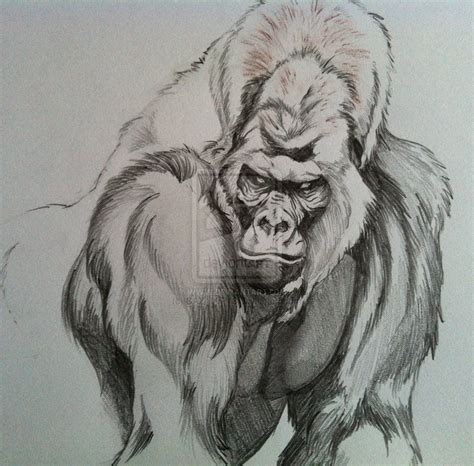 Gorilla Tattoo Drawing