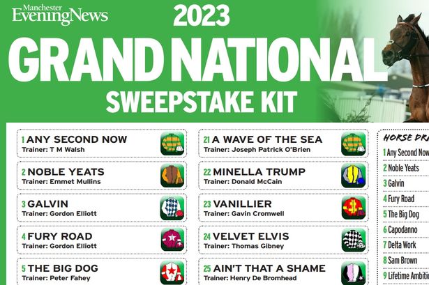 Grand National 2023 Mcauleylamia