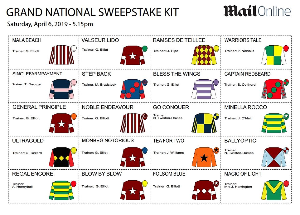 Grand National 2024 Sweepstake Kit Stories Aph Org Ua