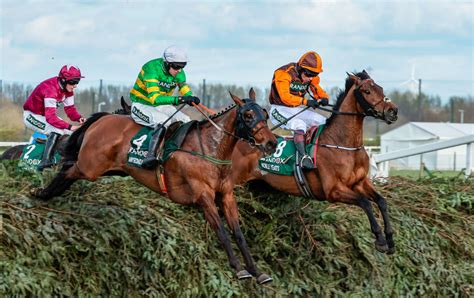 Grand National Horses 2024 Dore Nancey