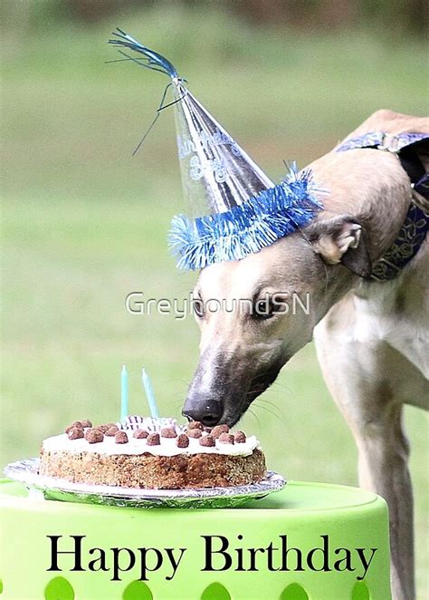 Greyhound Birthday Greeting Cards Redbubble