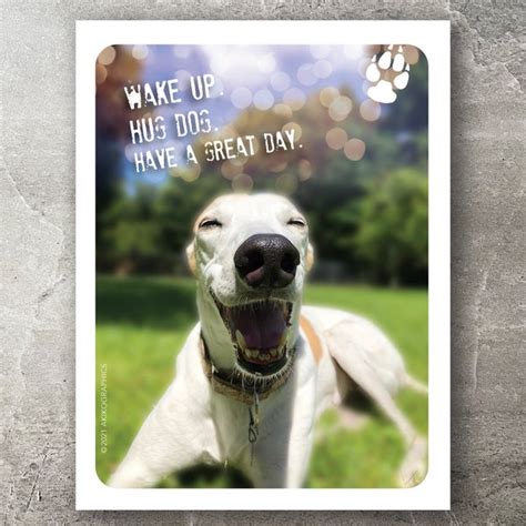 Greyhound Card Greeting Card Greyhounds Blank Card Have A Great Day