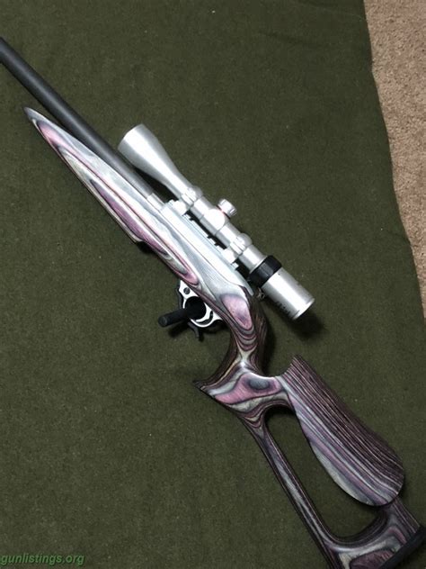 Gunlistings Org Rifles Ruger 10 22 17 Mach 2 Conversion