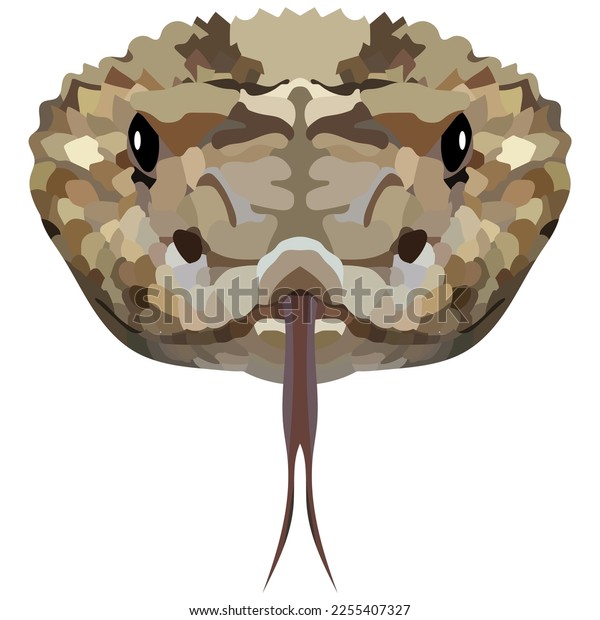 Head Of A Rattlesnake The Portrait Of A Poisonous Snake Is Depicted On