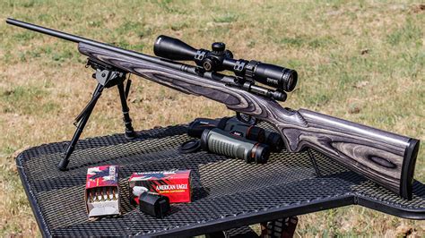 Head To Head 17 Hmr Vs 17 Wsm Air Gun Maniac