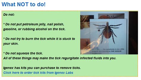 Healthyeats Tick Bite Guidelines And Links