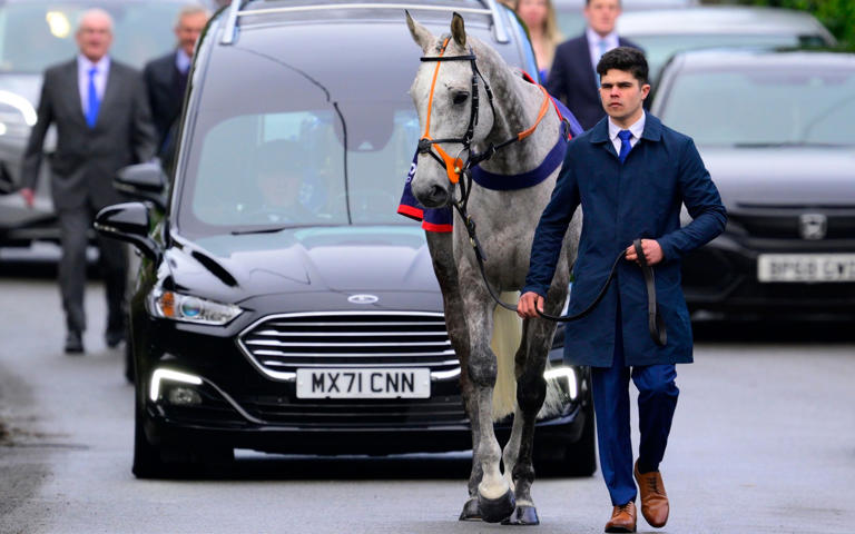 Highland Hunter Horse Dies At Cheltenham Week After Leading Jockey S