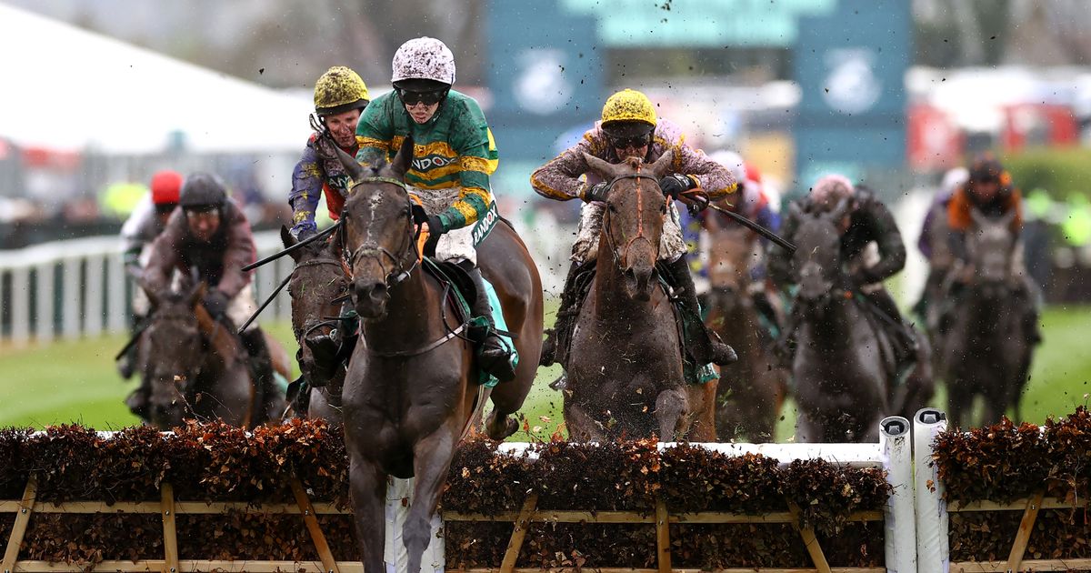 Hill Sixteen Dies In Grand National 2023 At Aintree In Second Casualty Of Showpiece Day Mirror