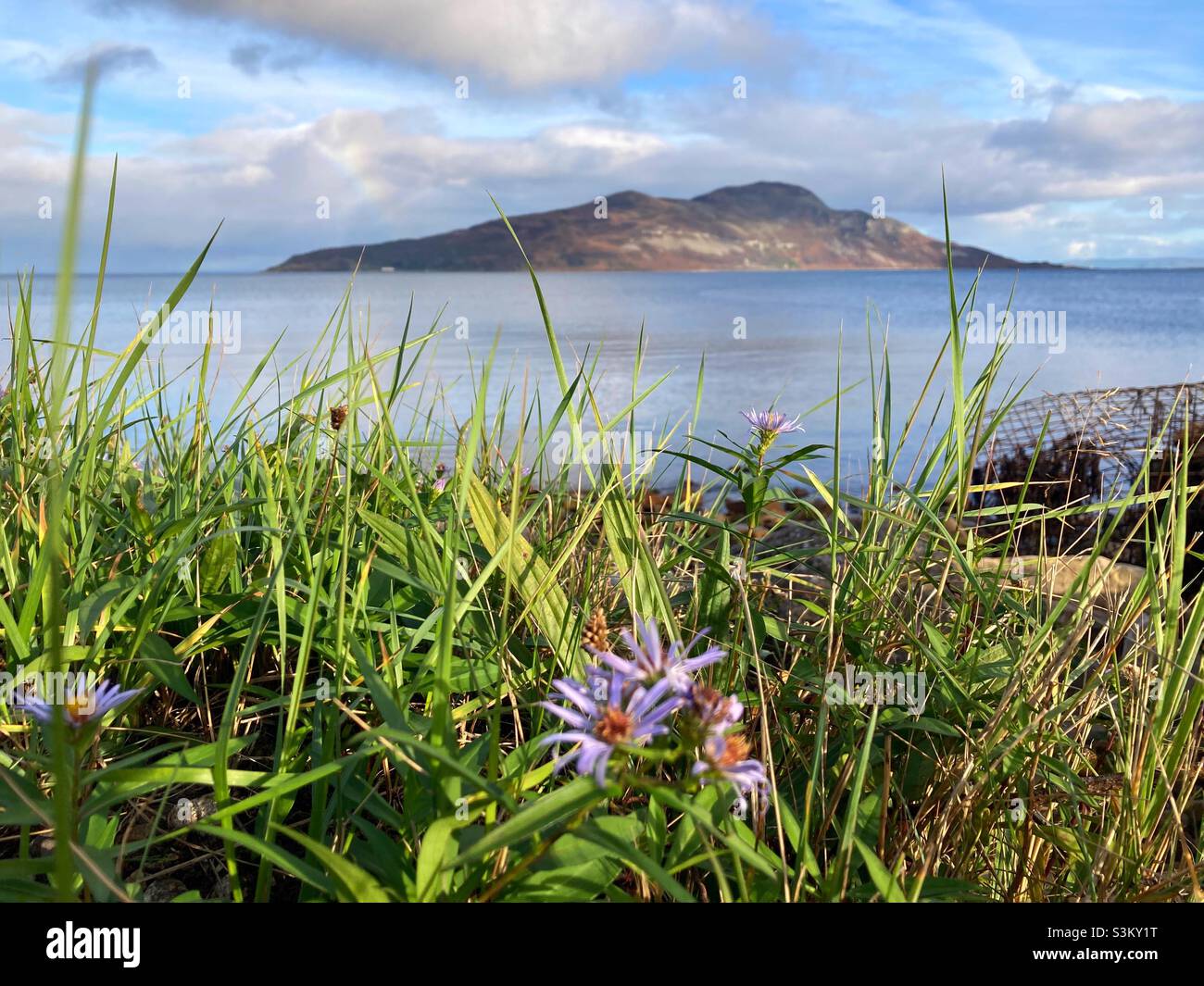 Holy Isle Firth Of Clyde By Fotofling Scotland On Deviantart