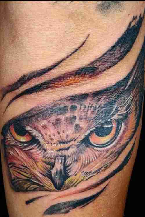 Hoo Hoo Tattoo Owl Tattoo Guide With Meanings 50 Examples