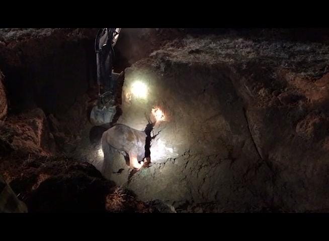 Horse Dies During Rescue Try After Sinkhole Opens In East Knox County