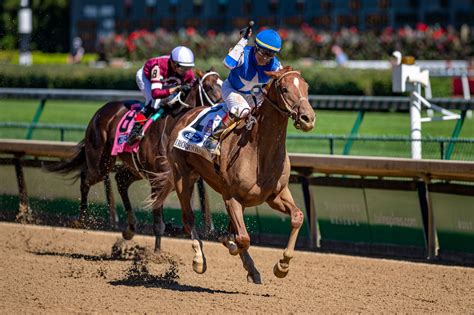 Horse Races Horse Races Tomorrow