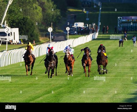 Horse Racing At Lingfield Hi Res Stock Photography And Images Alamy