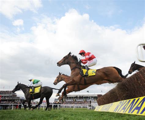 Horse Racing Editorial Photo Image Of Race Horse Turf 30598996