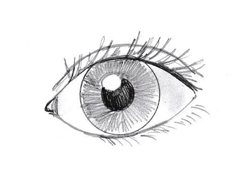 How Easy It Is To Draw An Eye Let S See Gallery Posted By Order Lemon8