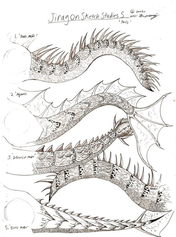 How To Draw A Dragon Tail