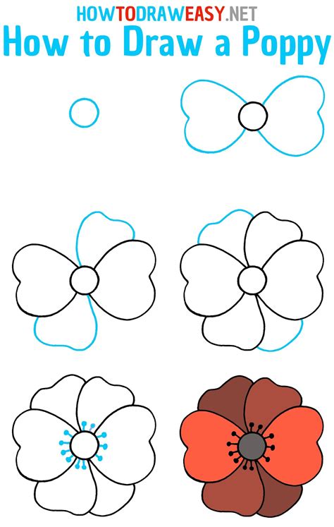 How To Draw Poppy Flower Idea 15 Step By Step Drawing Photos