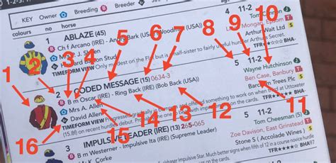 How To Read A Racecard Properly Find The Form Betting Guide