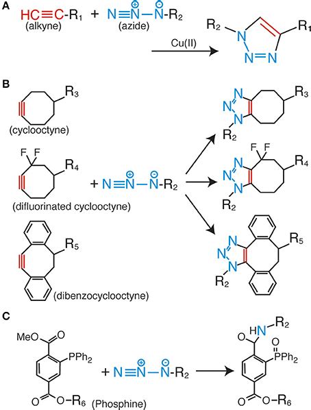 Huisgen Cycloaddition And Staudinger Ligation A Copper Catalyzed