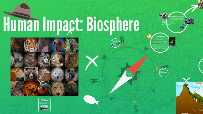 Human Impact On The Biosphere A Changing Landscape