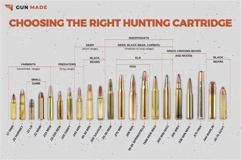 Hunting Rifle Round Chart