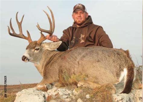 Hybridization A Unique Tail Of Whitetails And Mule Deer