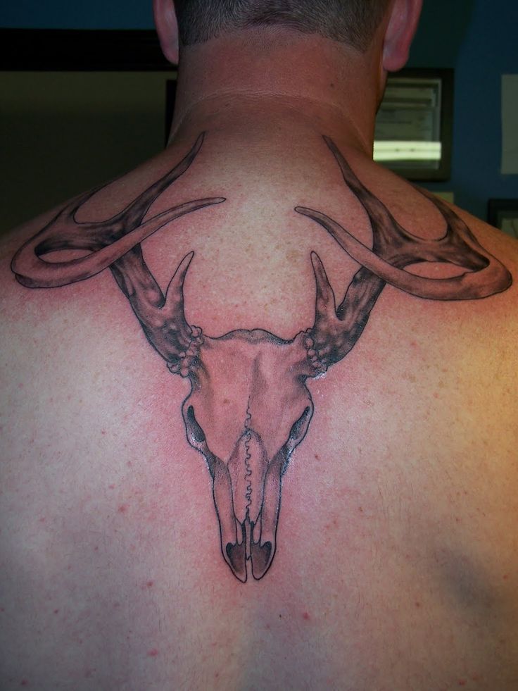 Image Detail For Artistic Ink Deer Skull Tattoo Antler Tattoos