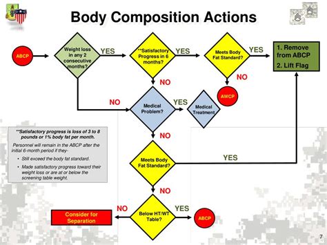 Implement The Army Body Composition Program Ppt Download