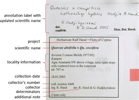 Information On Specimen Labels Download Scientific Diagram