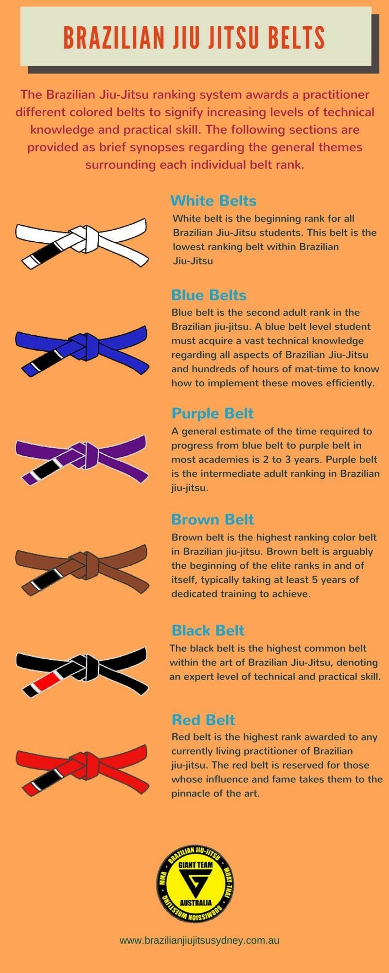 Jiu Jitsu Belt Colours Meg Pickett