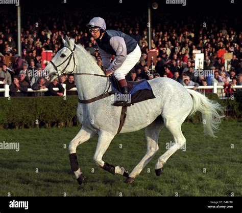 Jockey Lester Piggott On Desert Orchid In Front Of The Stands At