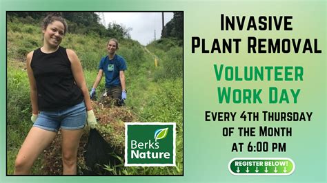 July 27Th Volunteer Invasive Removal Berks Nature