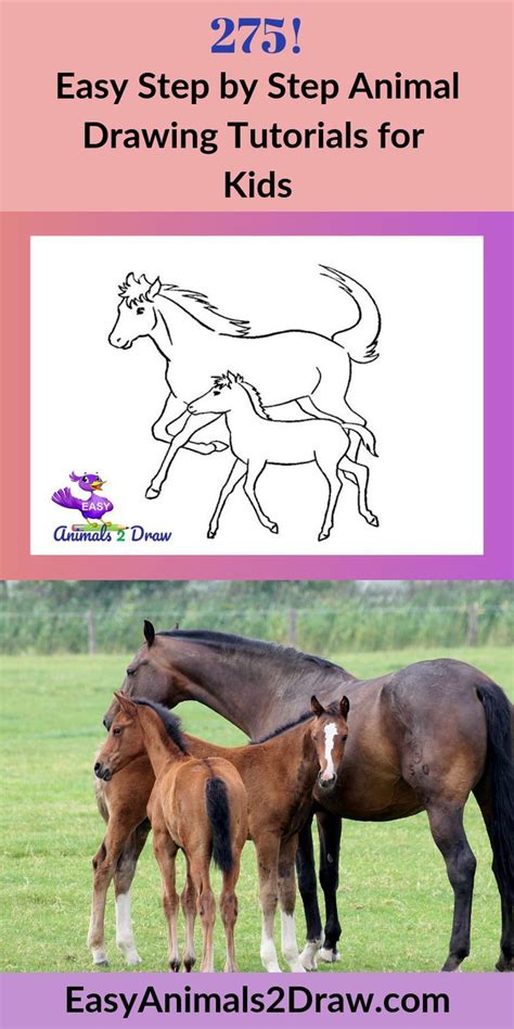 Learn How To Draw An Amazing Horse And Foal With This Easy And