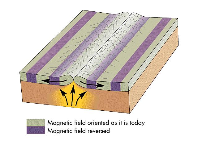 Learning Geology Evidence For Sea Floor Spreading