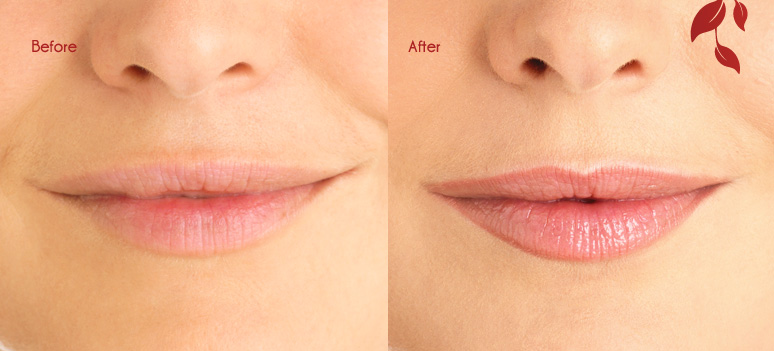 Lip Liner Permanent Makeup Tattoo