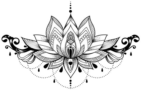 Lotus Flower Mandala Design