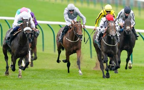 Lucky 15 Tips Today Saturday S Best Bets Across The Tracks