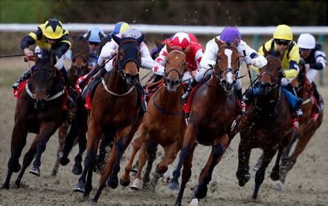 Lucky 15 Tips Today Sunday Amp 39 S Best Bets Using Our Naps Table