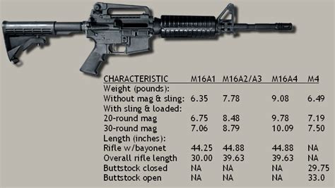 Marksmanship Training Unit M16 M4 Training Lesson